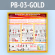 ����� ��������� ������������. ��������� �������� �������������� (PB-03-GOLD)